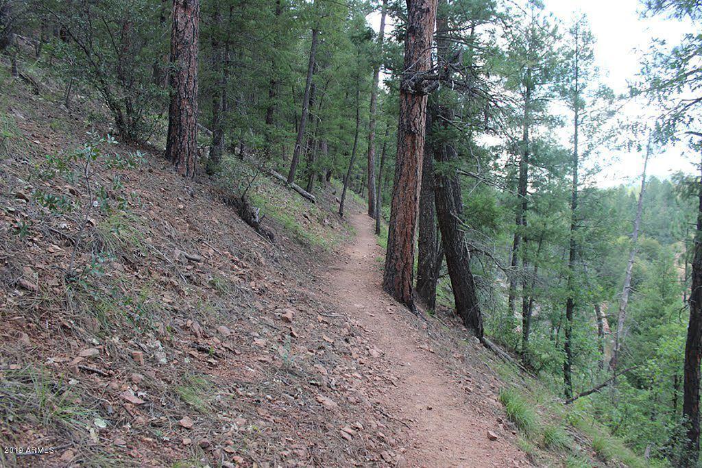 664 Buenagua Road Payson, AZ 85541 - Photo 51 of 66 Photo 52