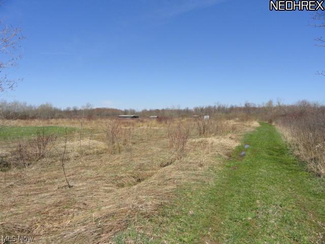 5253 Hall Road Dorset, OH 44032 - Photo 17 of 22 Gallery Image 17