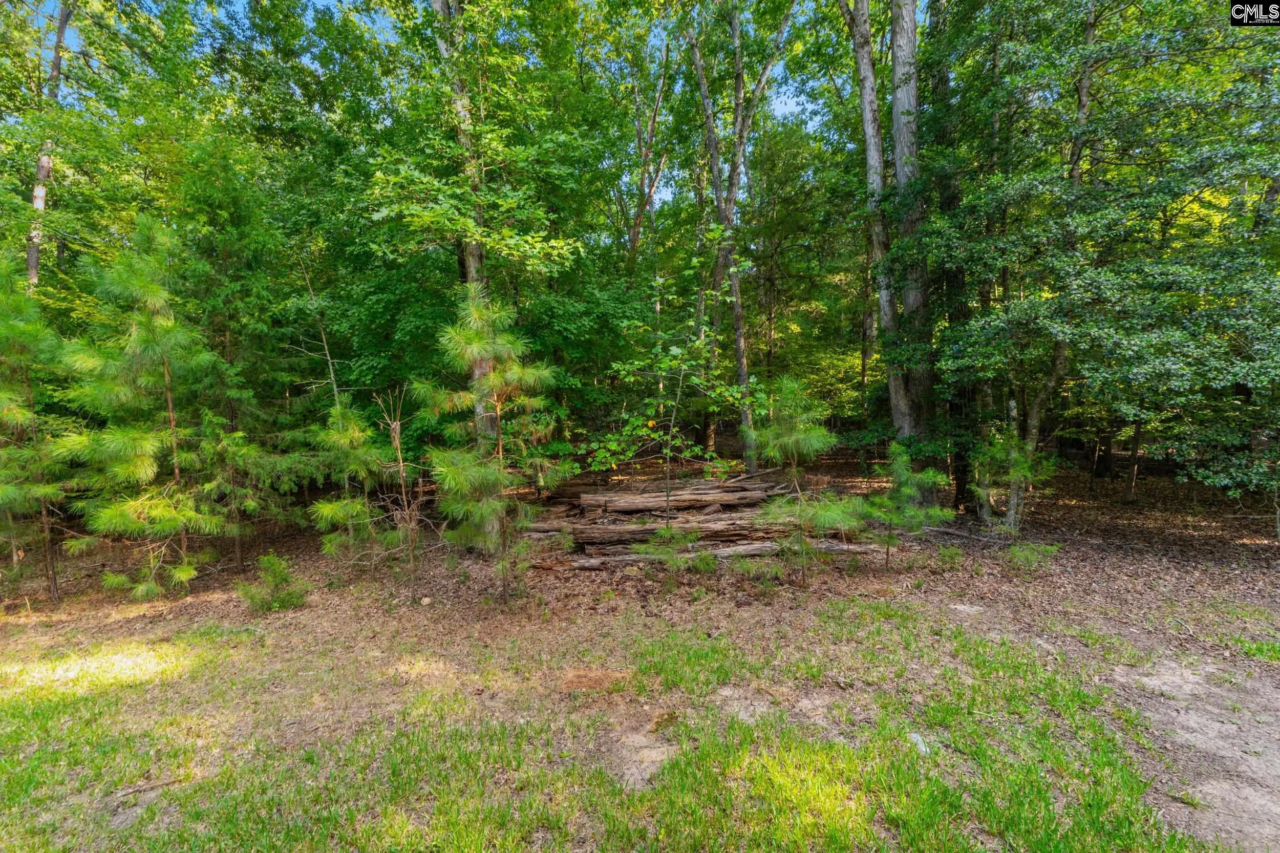 1287 Muddy Ford Road Chapin, SC 29036 - Photo 47 of 51 Gallery Image 47