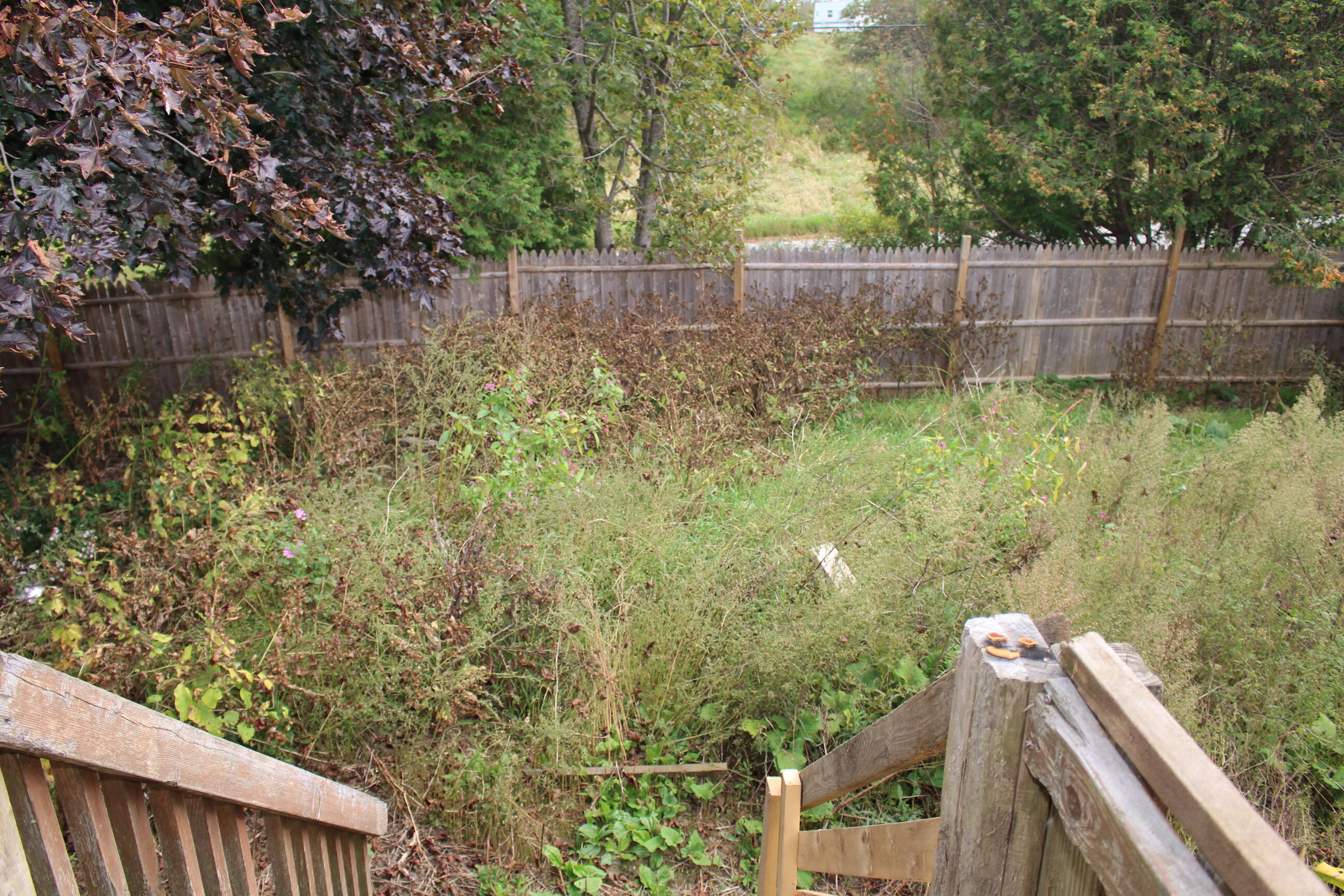 260 Fishtown Road Appleton, ME 04862 - Photo 41 of 45 IMG_0404