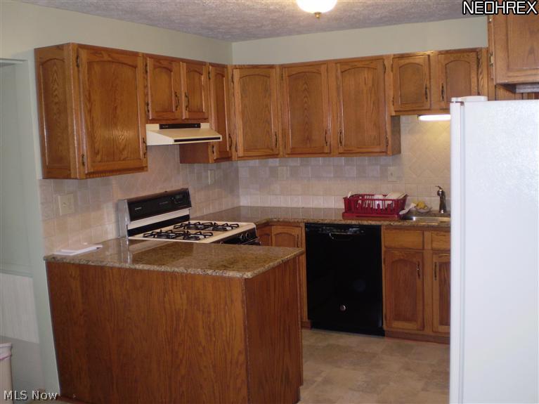 30509 Ridge Road Wickliffe, OH 44092 - Photo 14 of 24 Another view of the kitchen