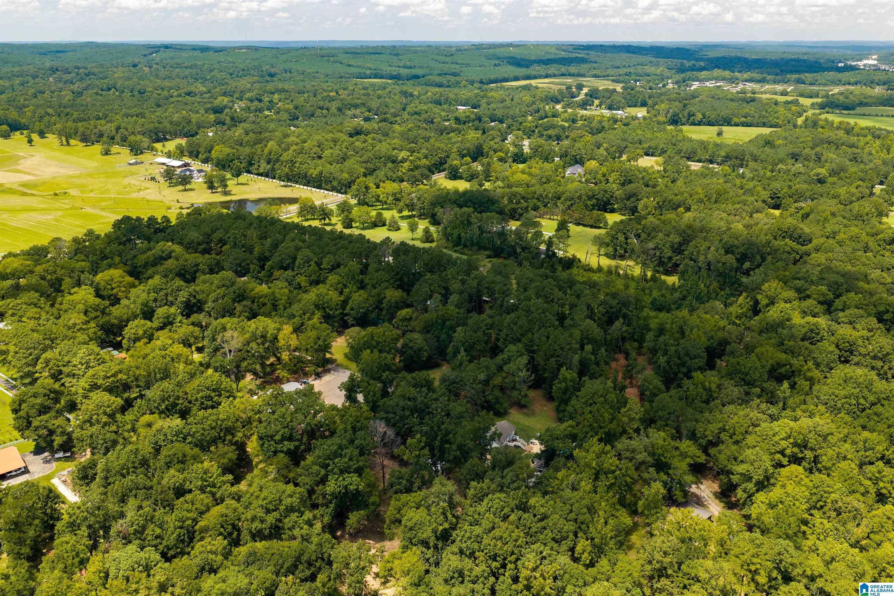 2314 Salem Road Montevallo, AL 35115 - Photo 66 of 69 Gallery Image 66