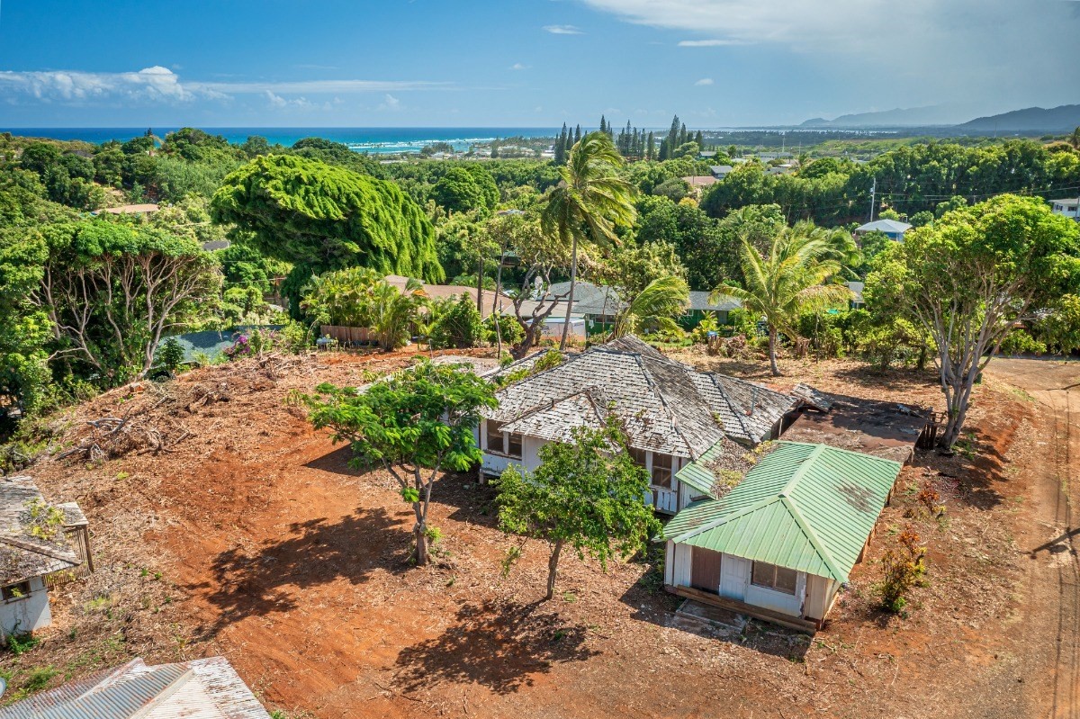 4964 La Road Kapaa, HI 96746 - Photo 5 of 18 a view of a backyard with plants