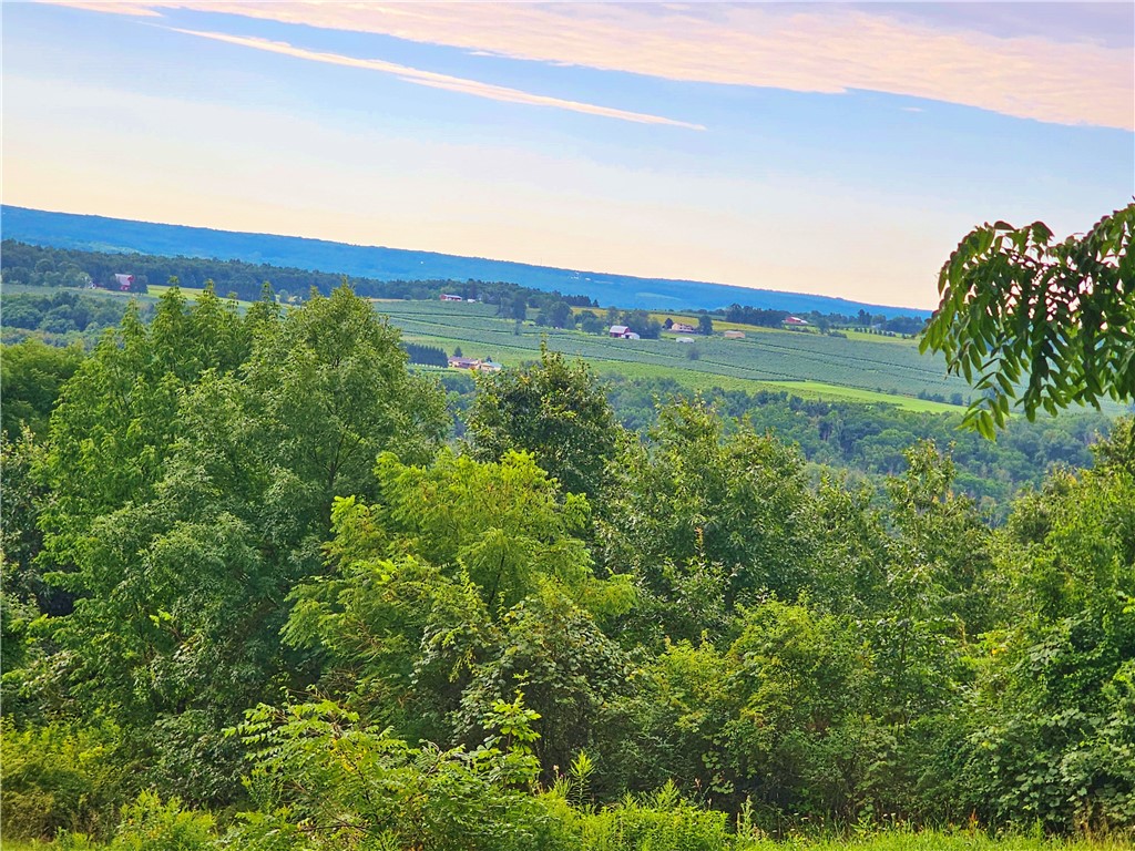 3256 State Route Keuka Park, NY 14478 - Photo 14 of 29 Gallery Image 14