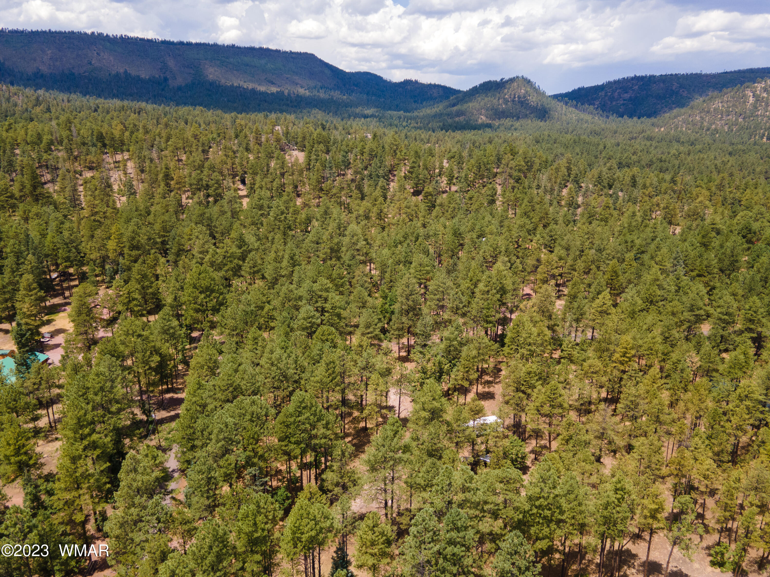 4 Colorados Lane Alpine, AZ 85920 - Photo 12 of 14