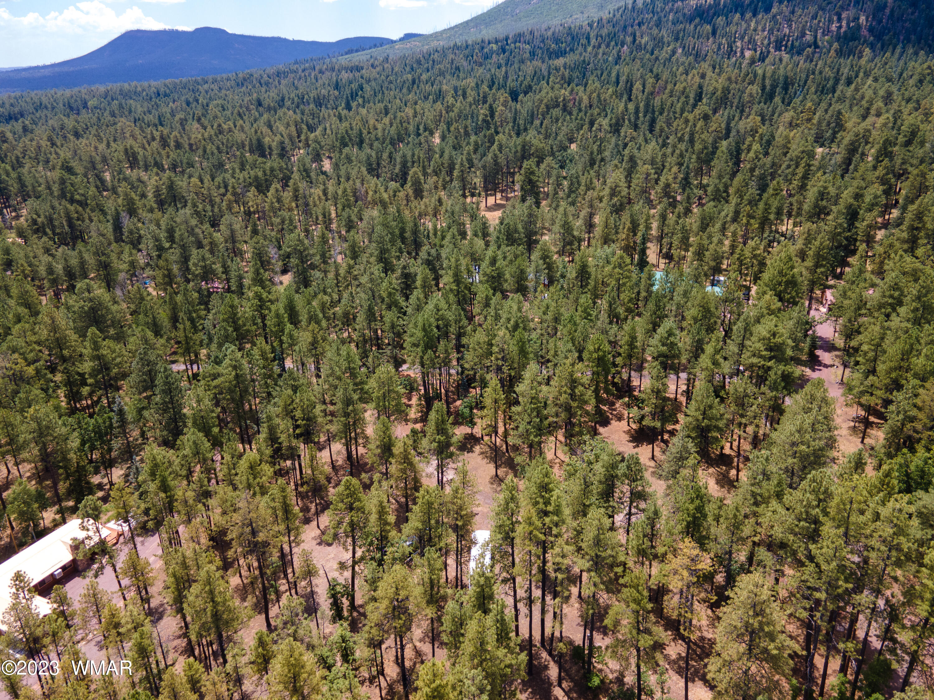 4 Colorados Lane Alpine, AZ 85920 - Photo 13 of 14