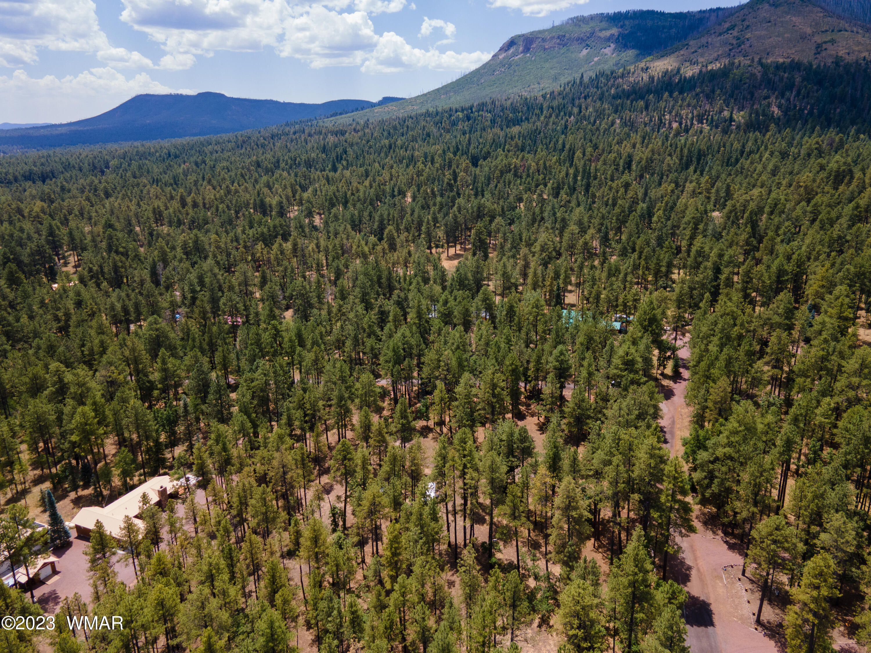 4 Colorados Lane Alpine, AZ 85920 - Photo 14 of 14