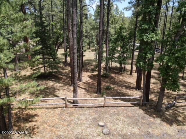 4 Colorados Lane Alpine, AZ 85920 - Photo 2 of 14