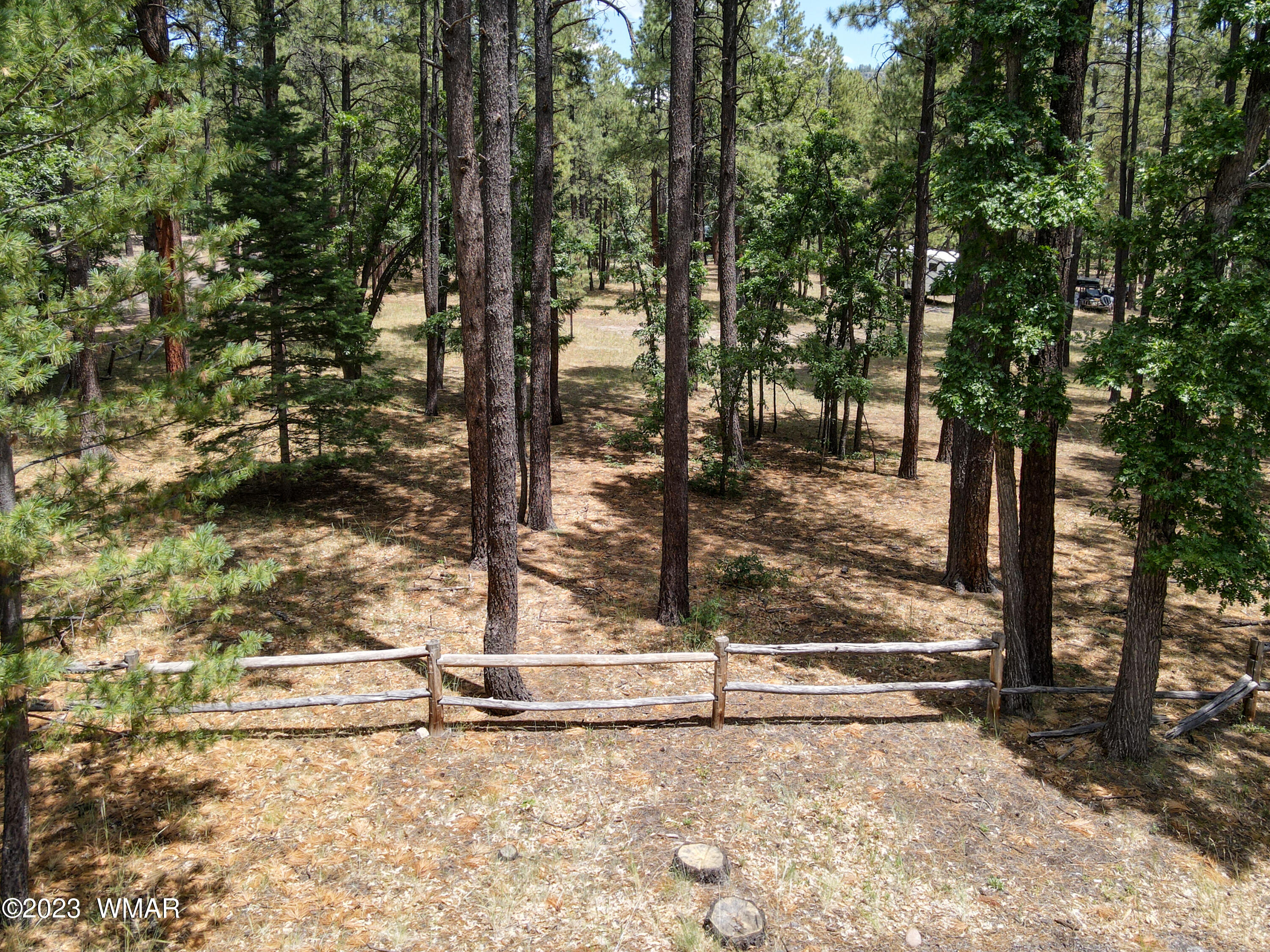 4 Colorados Lane Alpine, AZ 85920 - Photo 3 of 14