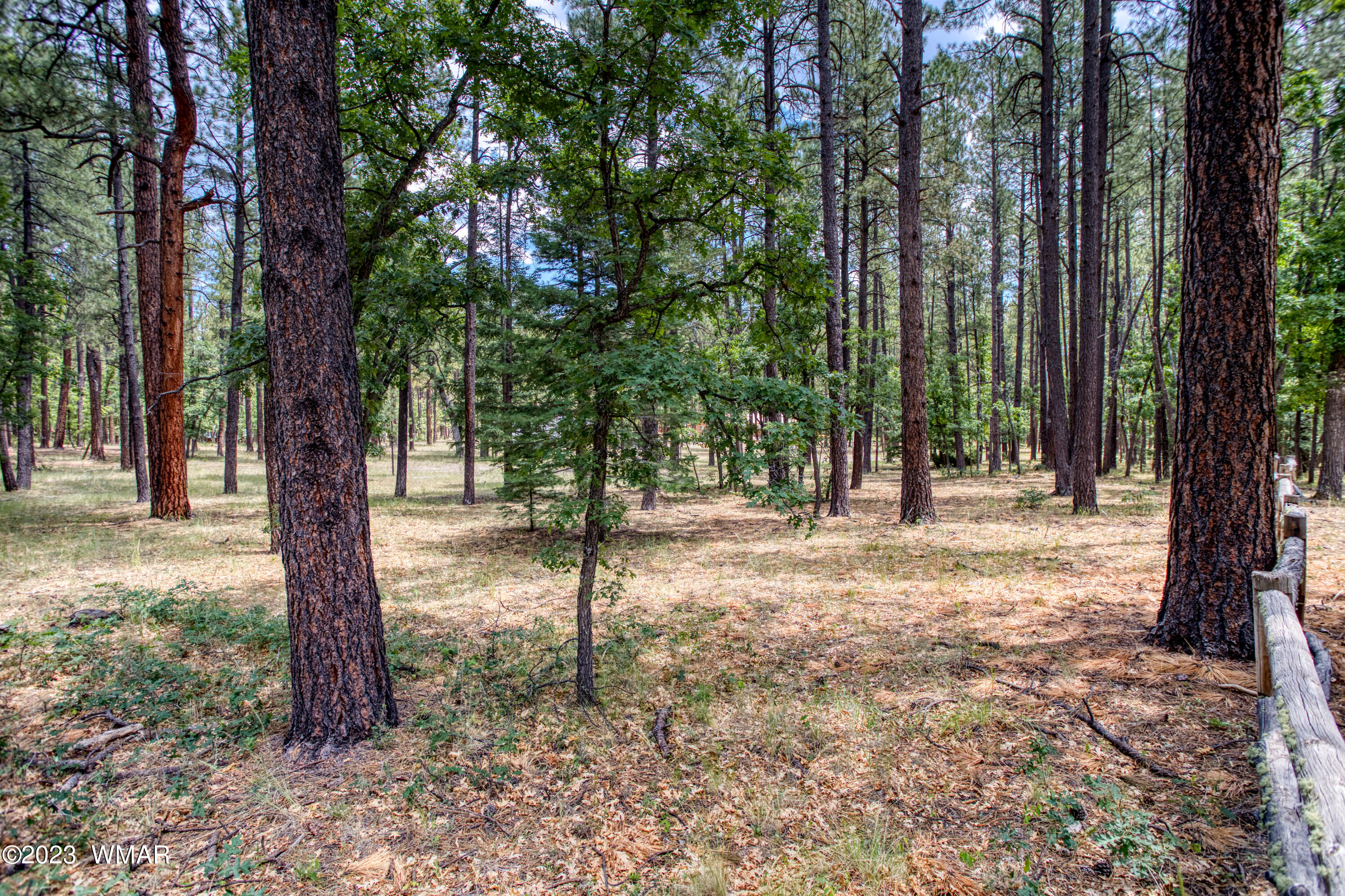 4 Colorados Lane Alpine, AZ 85920 - Photo 4 of 14