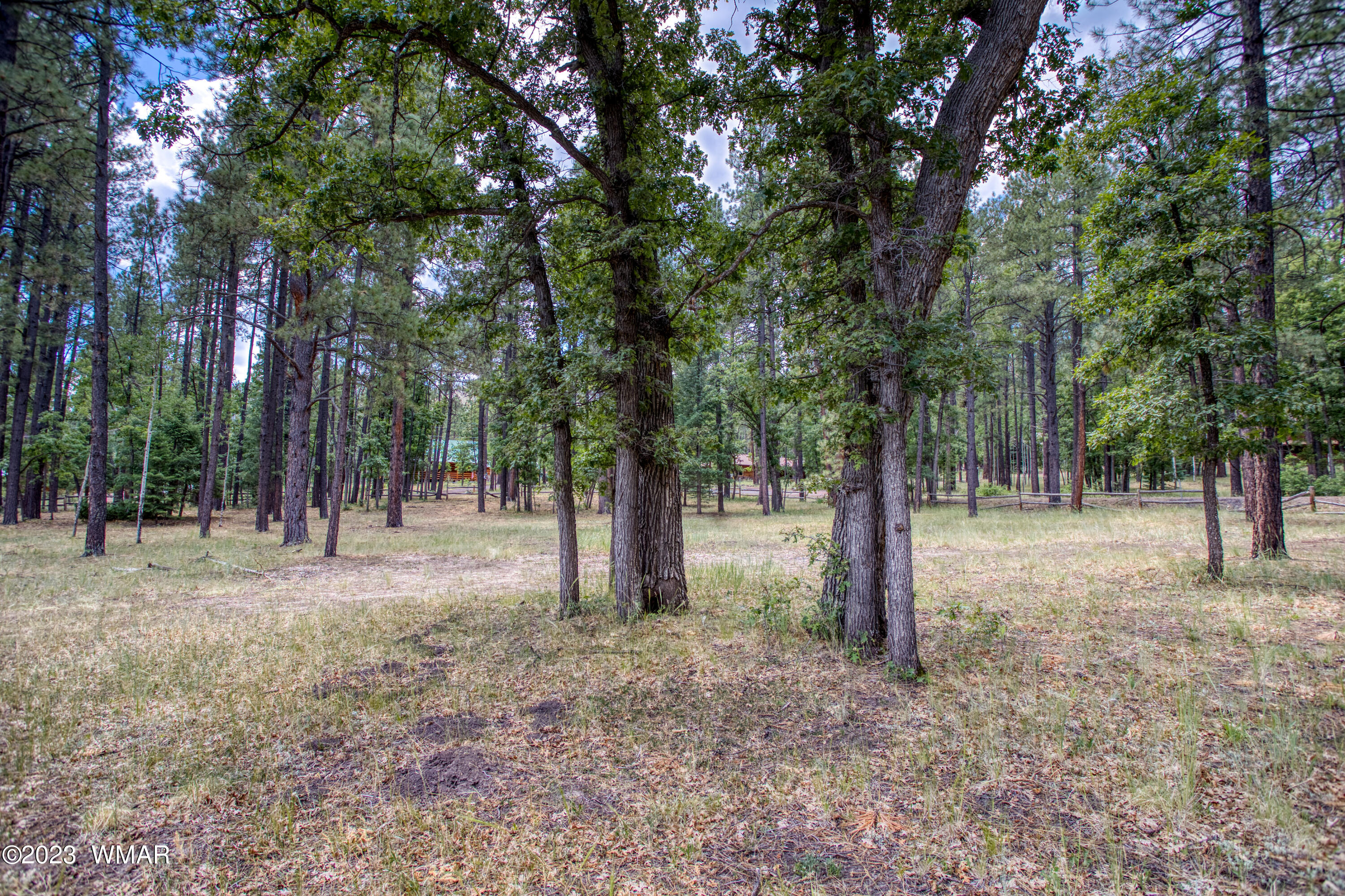 4 Colorados Lane Alpine, AZ 85920 - Photo 5 of 14