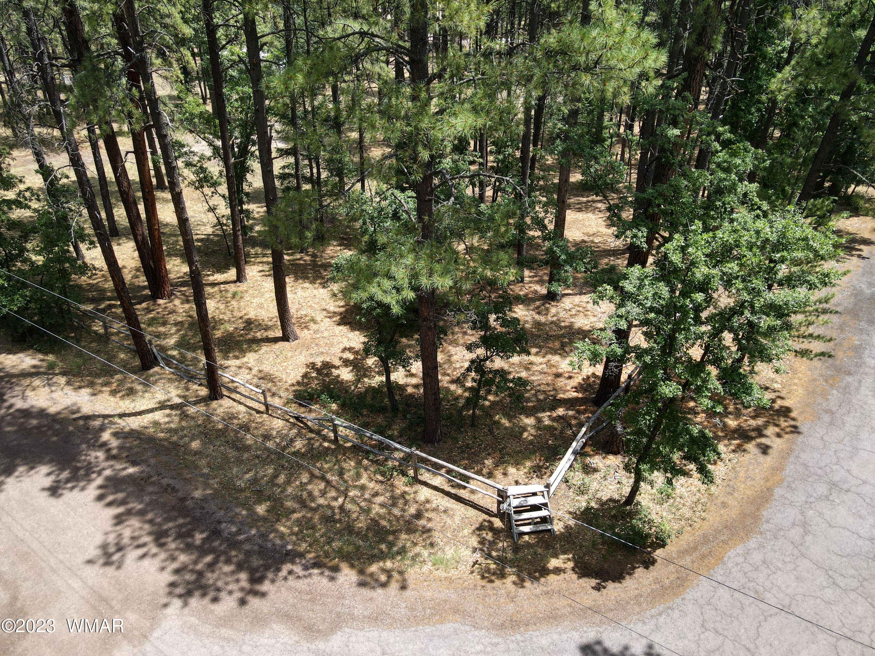 4 Colorados Lane Alpine, AZ 85920 - Photo 6 of 14