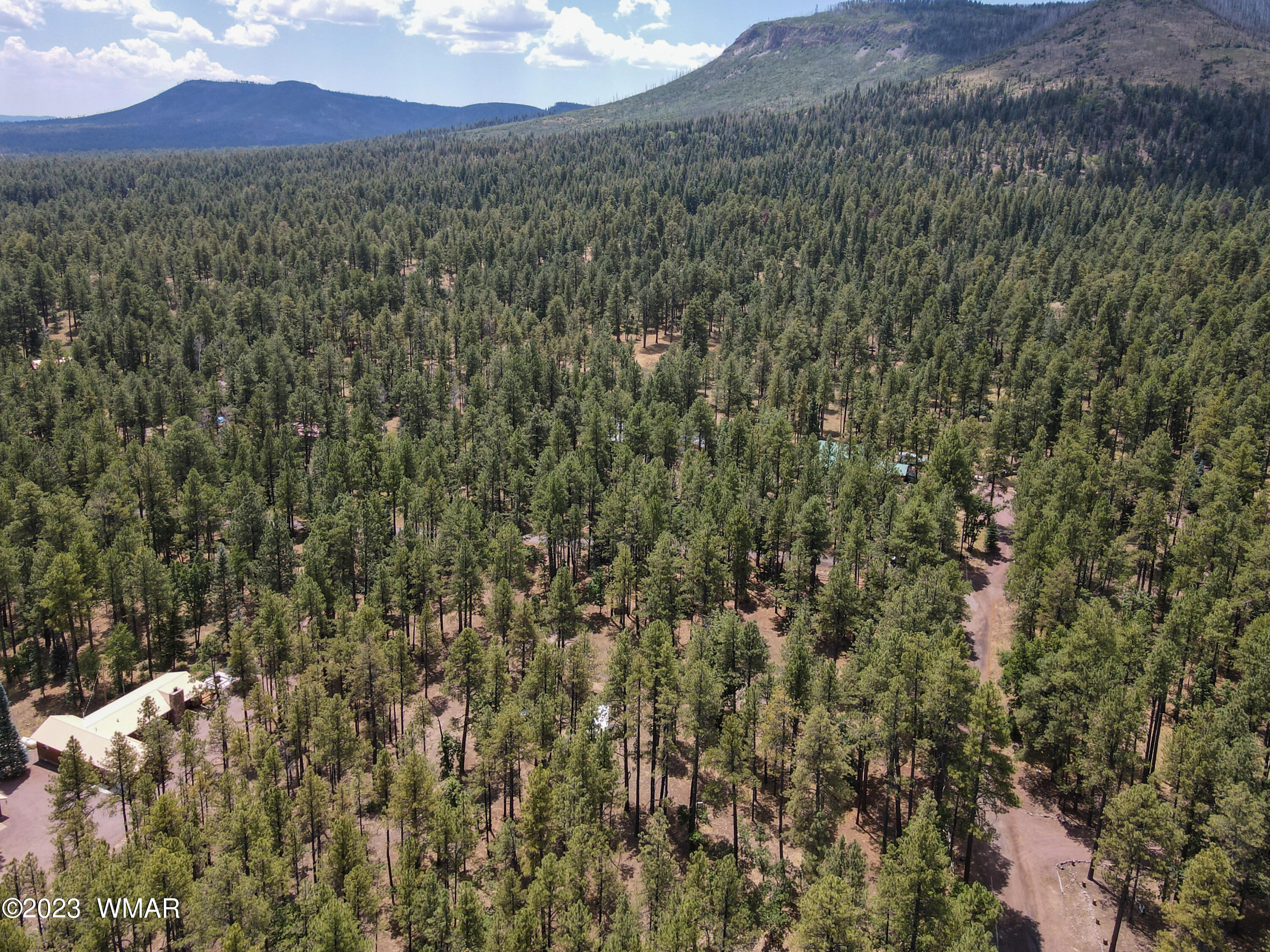 4 Colorados Lane Alpine, AZ 85920 - Photo 8 of 14