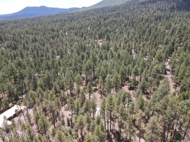 4 Colorados Lane Alpine, AZ 85920 - Photo 10 of 14