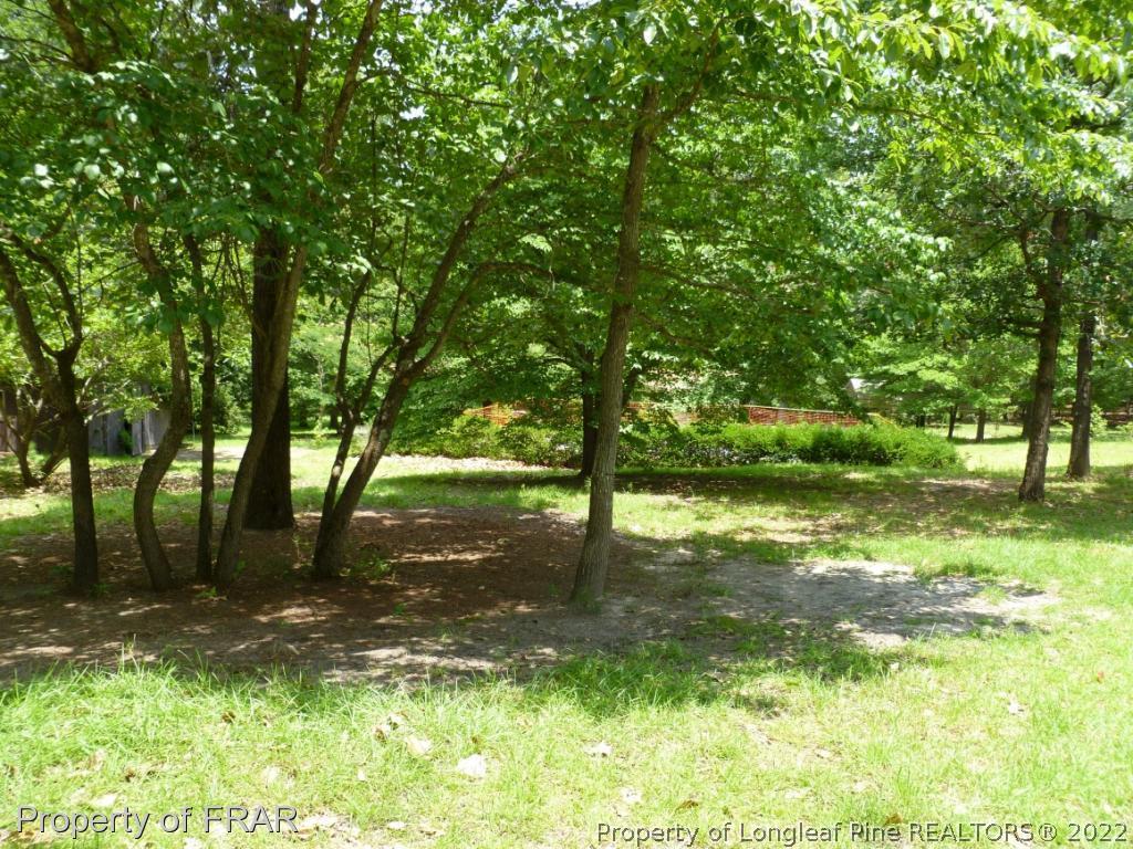 903 Poole Road Raeford, NC 28376 - Photo 25 of 27 a view of backyard with green space