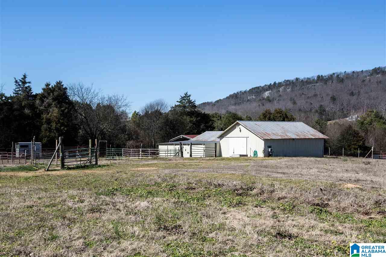 435 County Road 42 Oneonta, AL 35121 - Photo 9 of 40