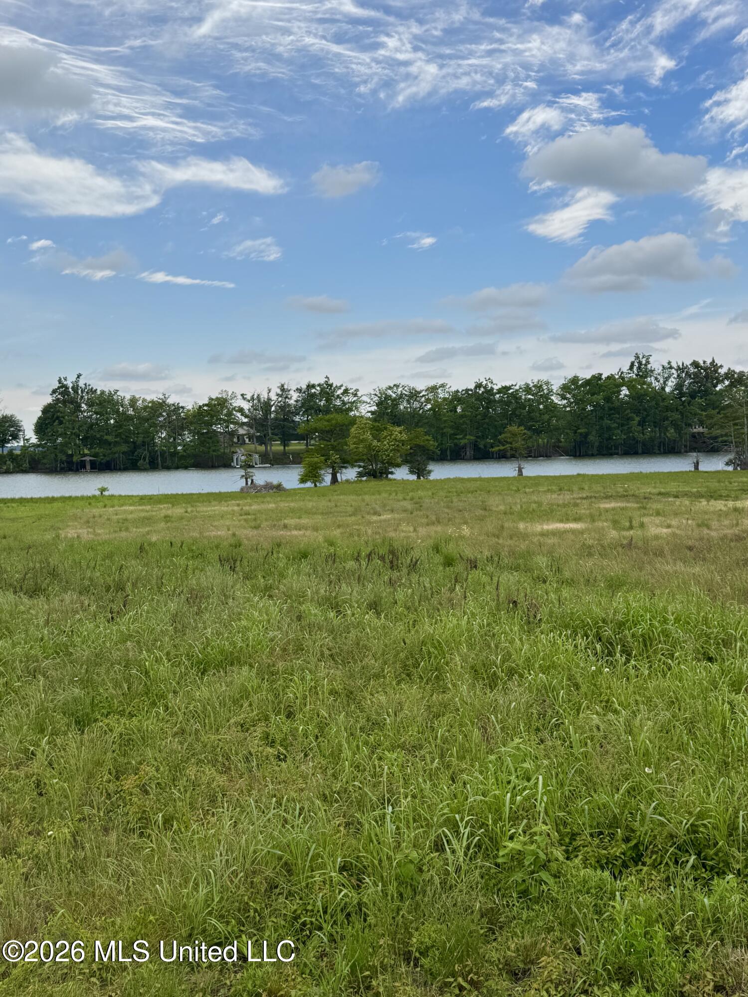 Deerfield Road Yazoo City, MS 39194 - Photo 2 of 8 IMG_4813