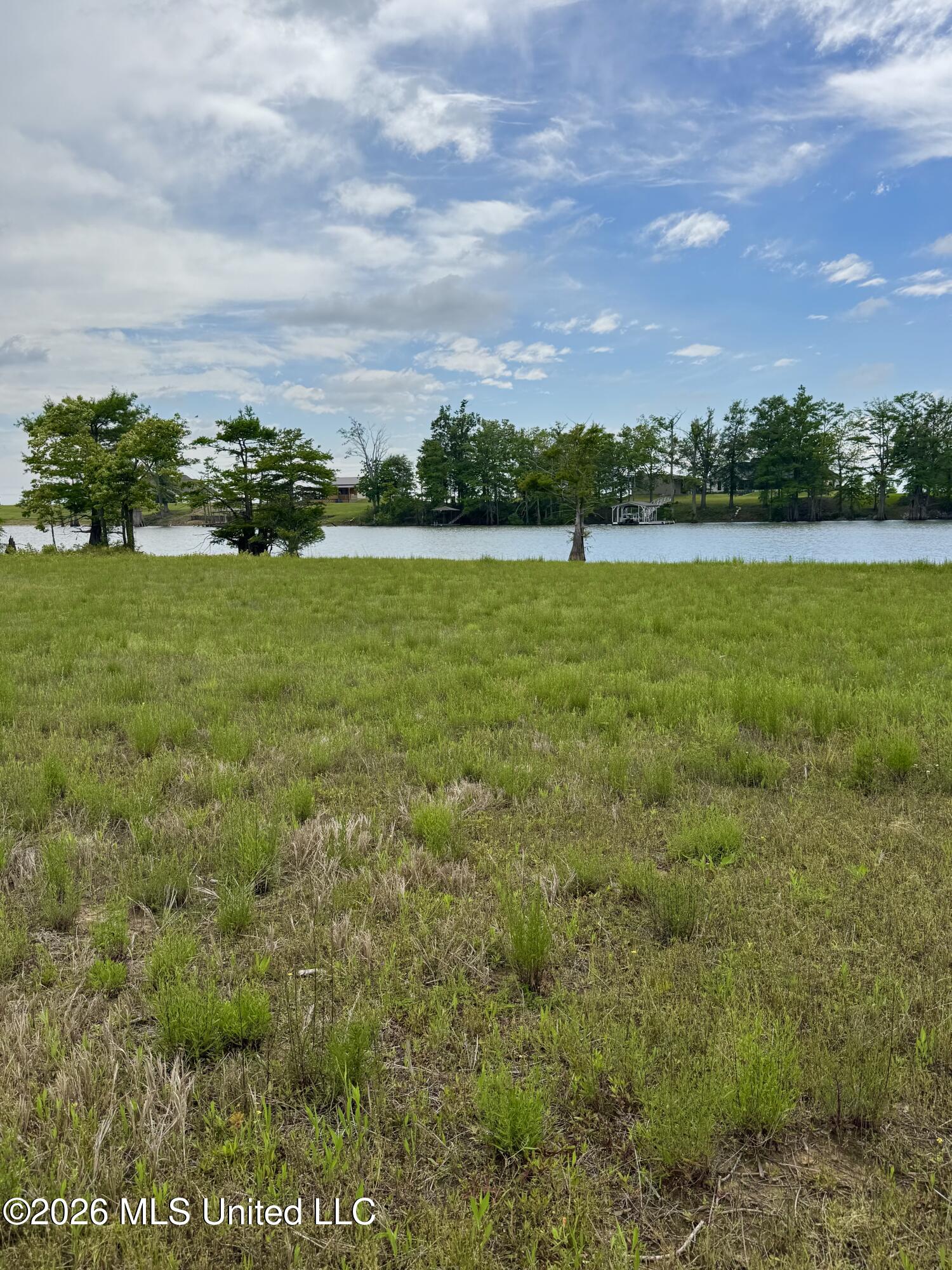 Deerfield Road Yazoo City, MS 39194 - Photo 3 of 8 IMG_4815