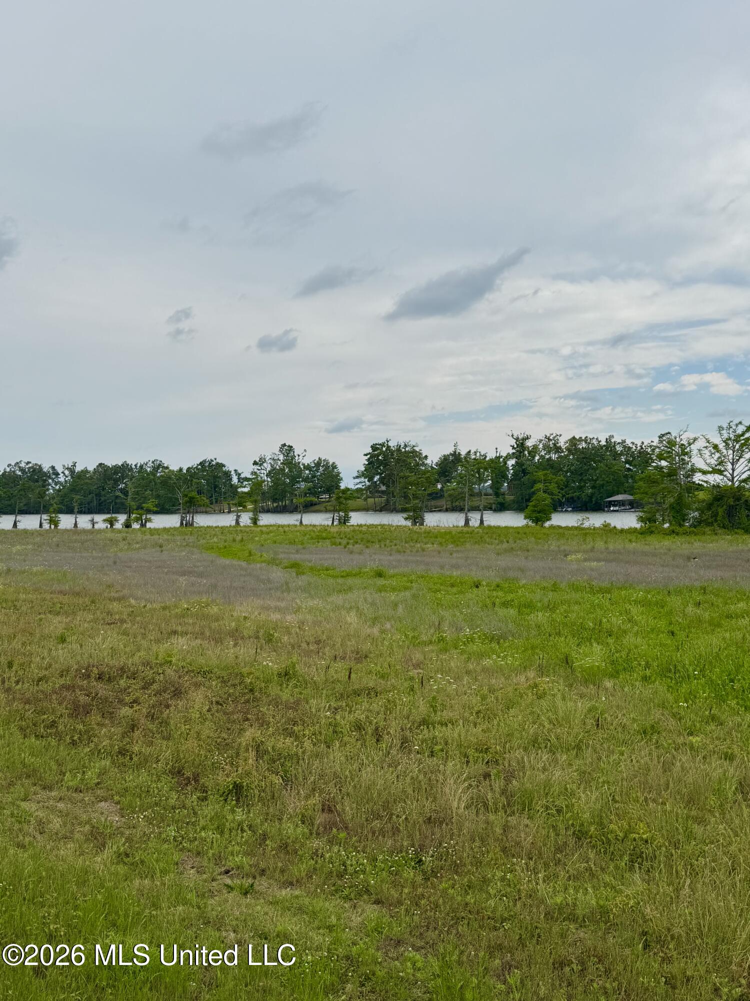 Deerfield Road Yazoo City, MS 39194 - Photo 7 of 8 IMG_4814