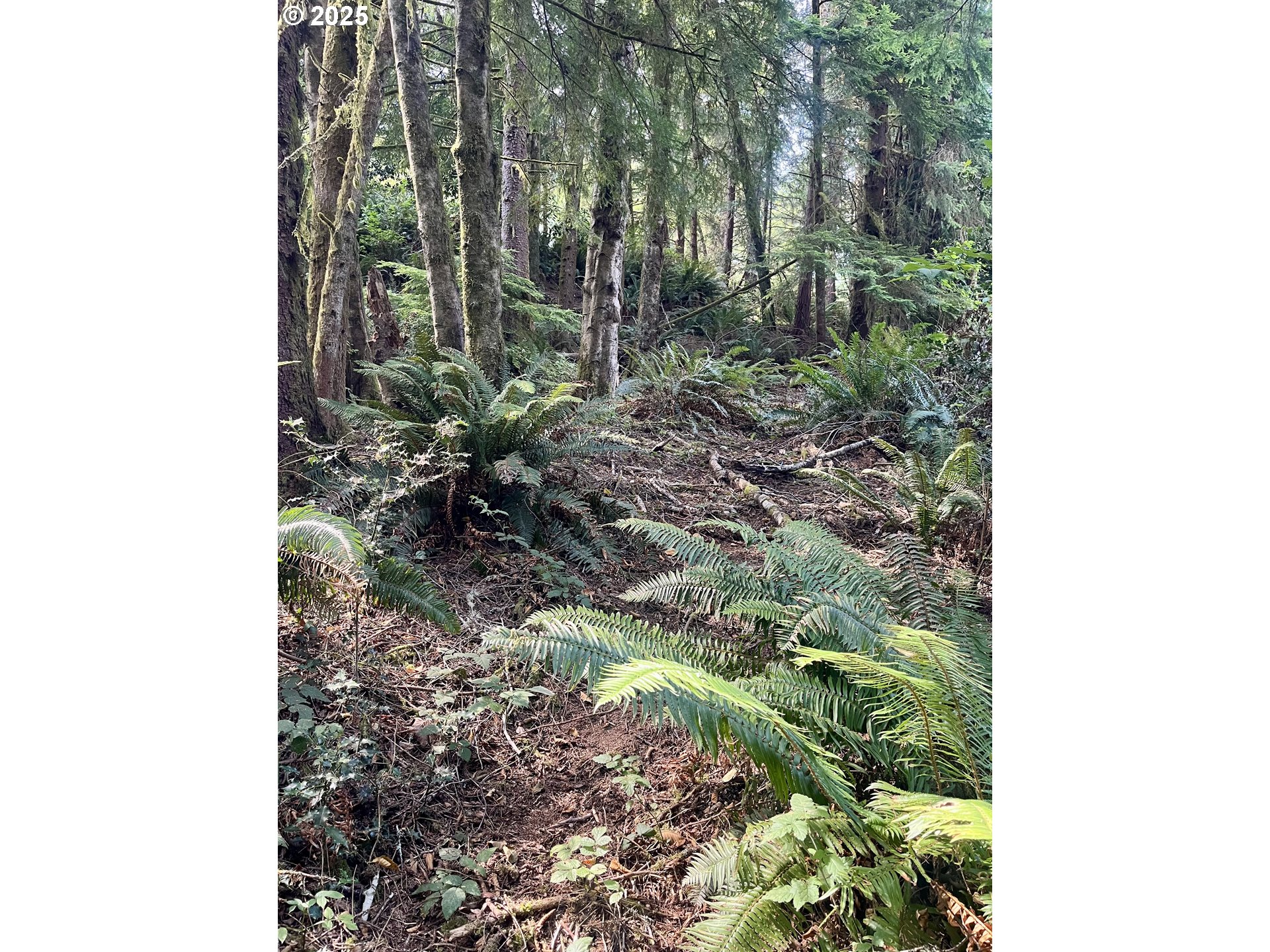 20th Lane Coos Bay, OR 97420 - Photo 9 of 11 Approximate Property Lines