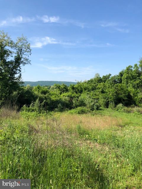 Lot #3 Old Quaker Road Lewisberry, PA 17339 - Photo 2 of 5 Gallery Image 2