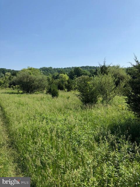 Lot #3 Old Quaker Road Lewisberry, PA 17339 - Photo 5 of 5 Gallery Image 5