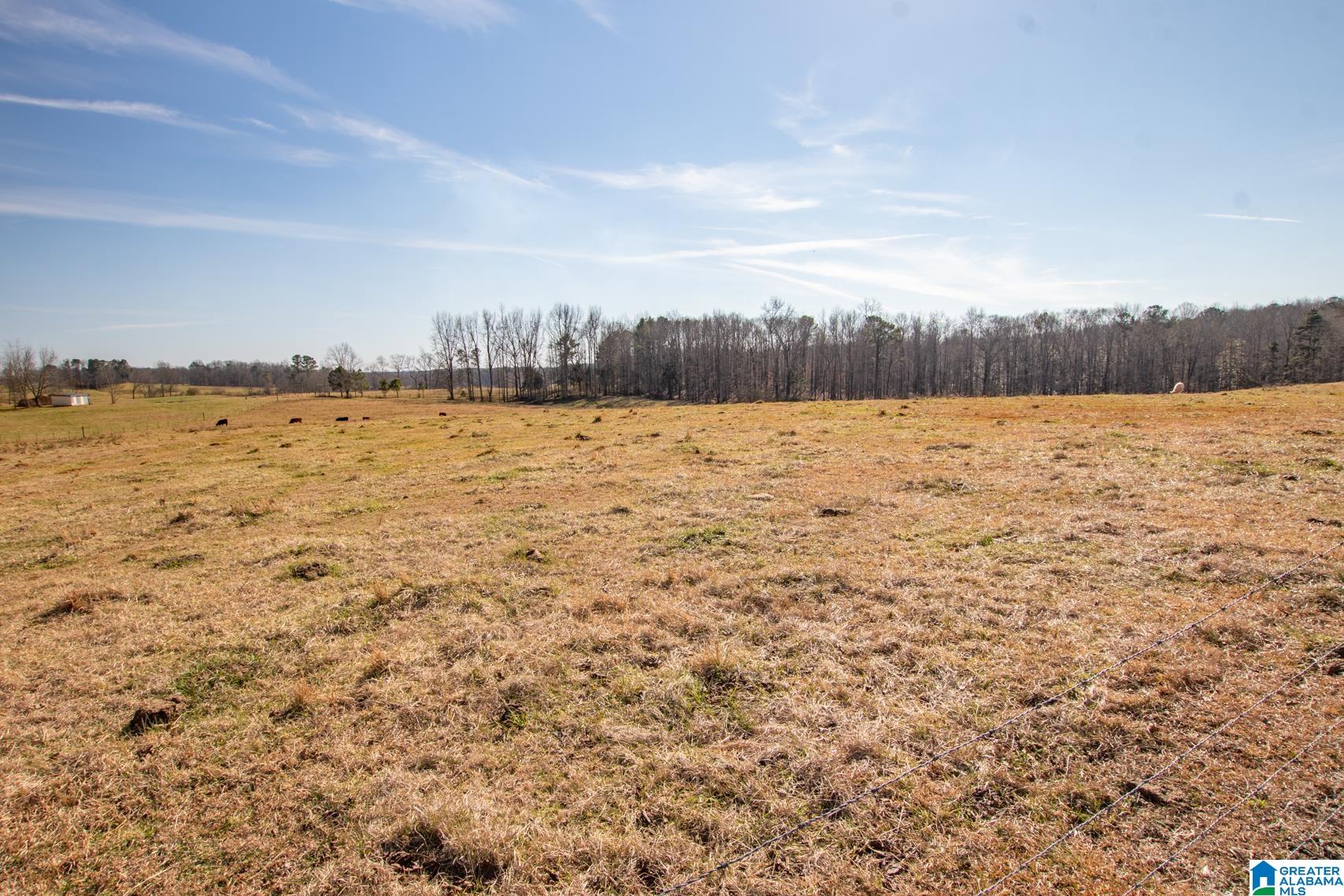 3081 Barfield Fire Department Road Lineville, AL 36266 - Photo 33 of 50