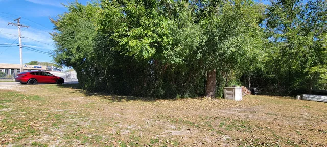 a view of backyard with trees