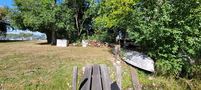 a view of a yard with plants