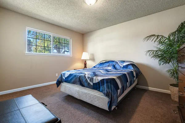 a spacious bedroom with a bed and a potted plant