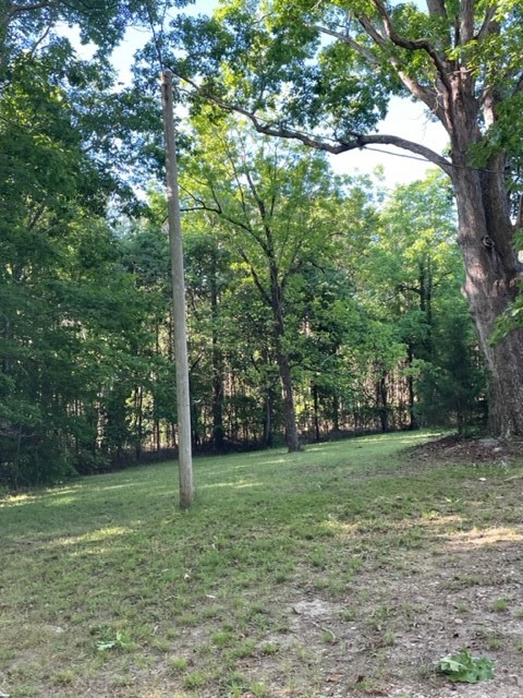 1131 Horse Farm Road Iva, SC 29655 - Photo 5 of 18