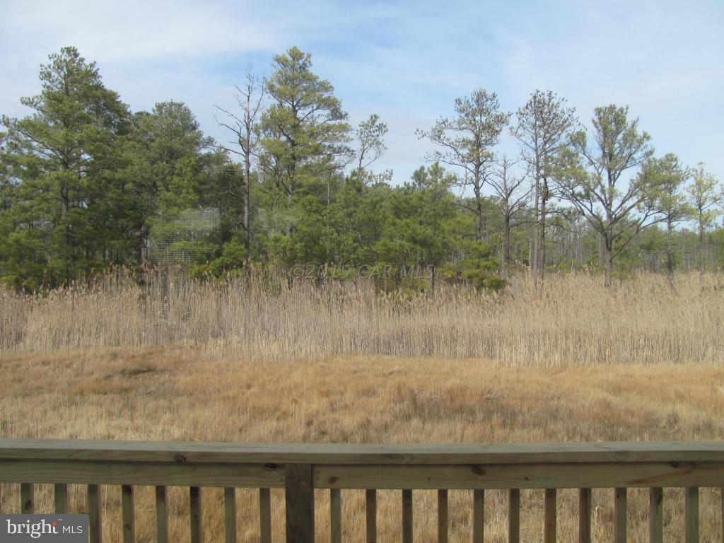 26284 Deal Island Road Princess Anne, MD 21853 - Photo 8 of 12