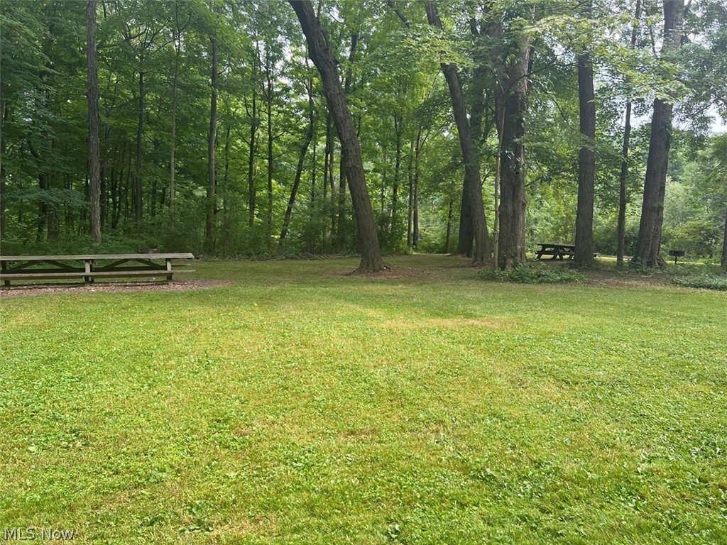 759 Truesdale Road Youngstown, OH 44511 - Photo 34 of 37 Park picnic area