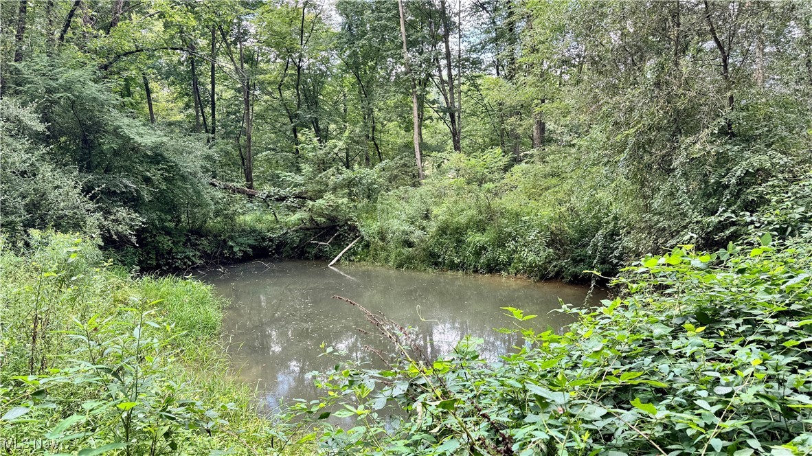 294 County Road Conesville, OH 43811 - Photo 28 of 39 View of local wilderness with a nearby body of water