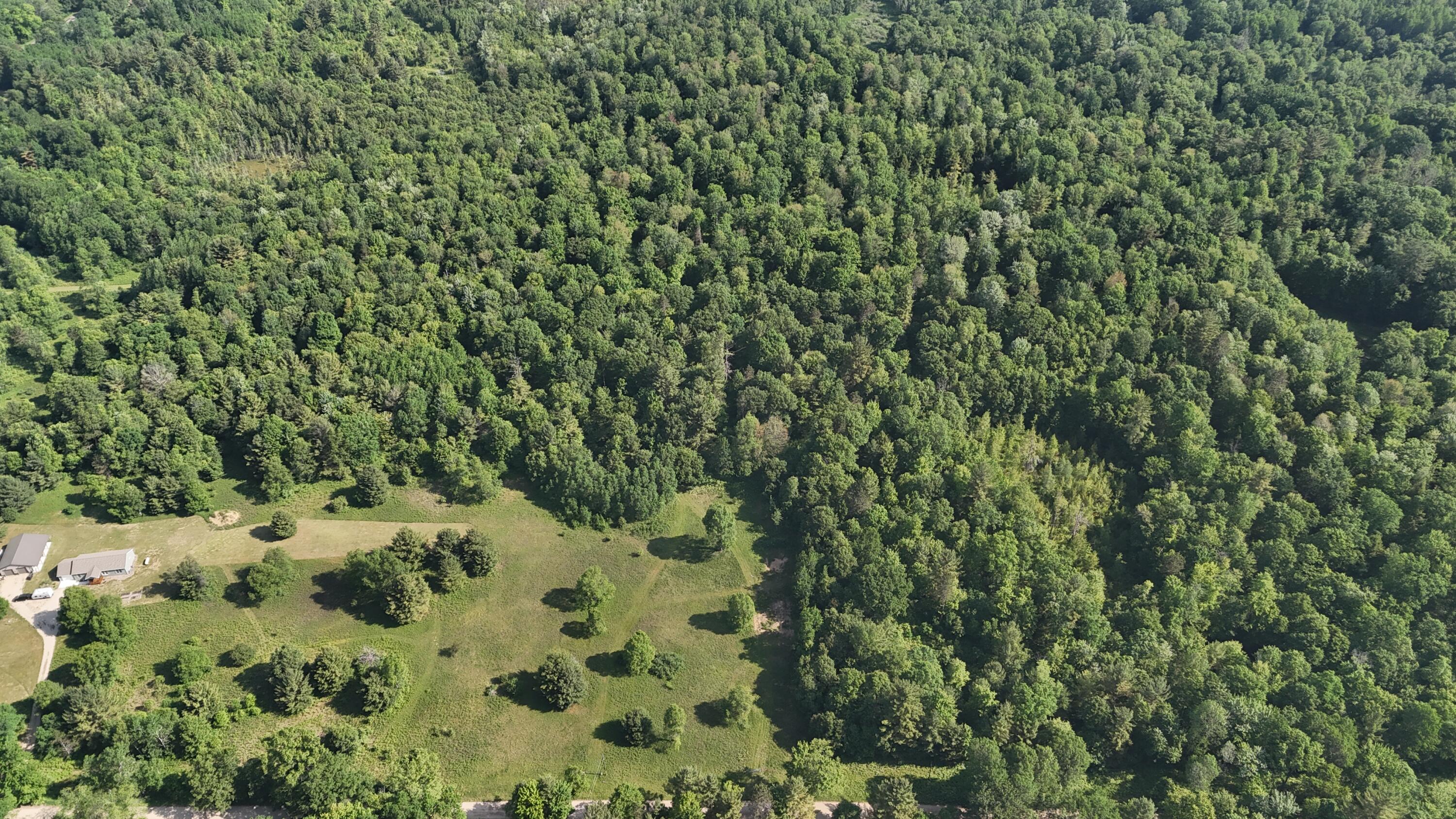Dickson Road Brethren, MI 49619 - Photo 25 of 27 dji_fly_20250617_100732_0570_17501698483