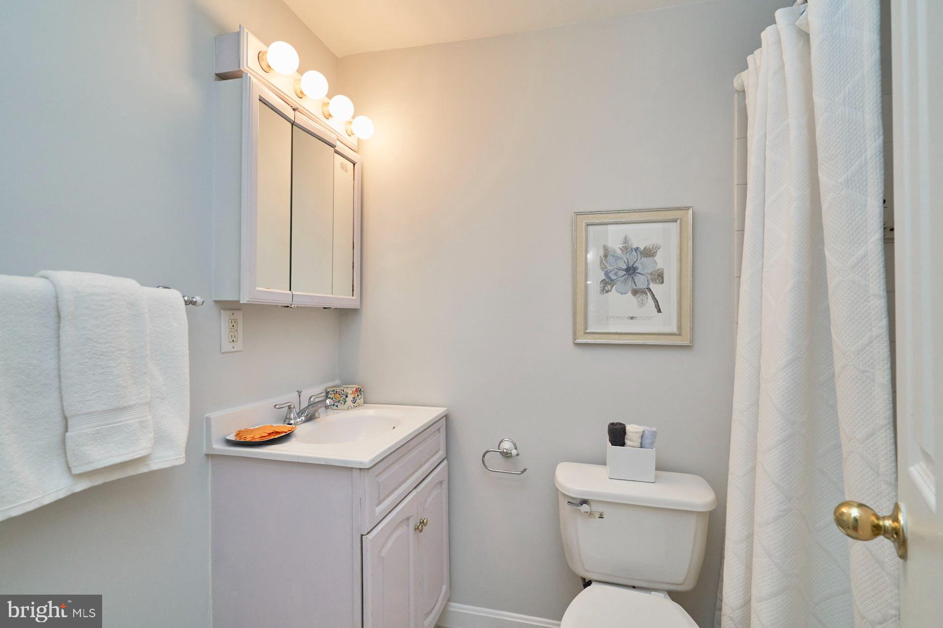 1313 K Street Southeast Washington, DC 20003 - Photo 34 of 48 a bathroom with a toilet sink and mirror