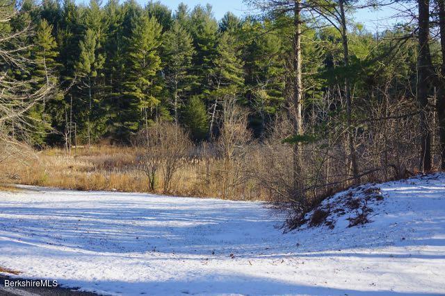 38 Sandisfield Road Monterey, MA 01245 - Photo 4 of 25 a view of a backyard of the house