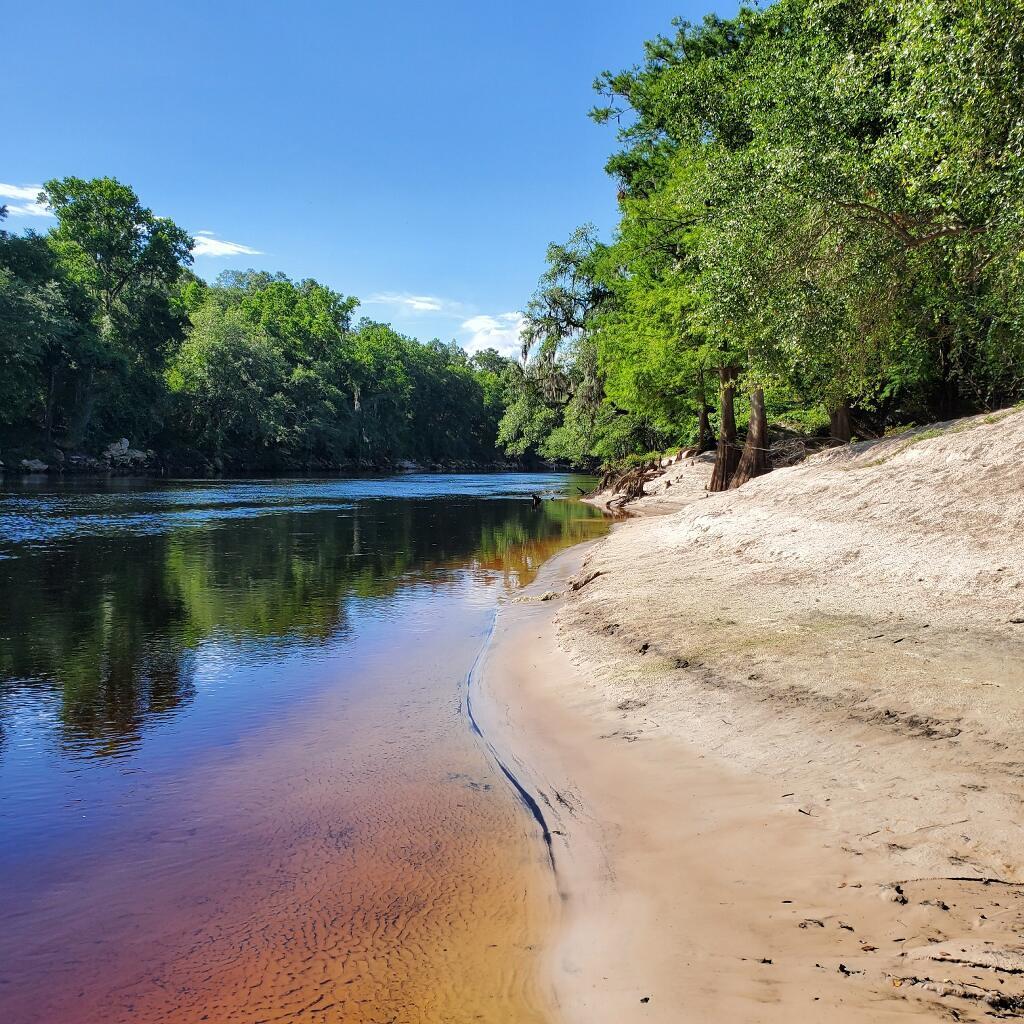 4653 River Road Live Oak, FL 32060 - Photo 18 of 21 lo 18