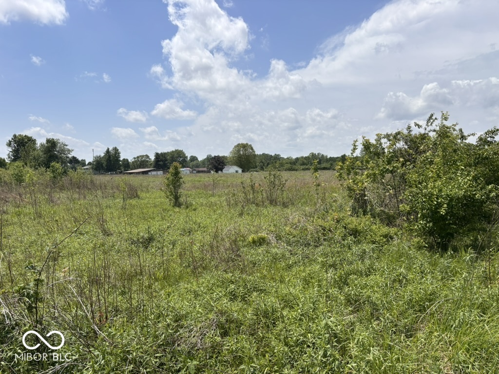 7145 Mann Road Indianapolis, IN 46221 - Photo 50 of 78