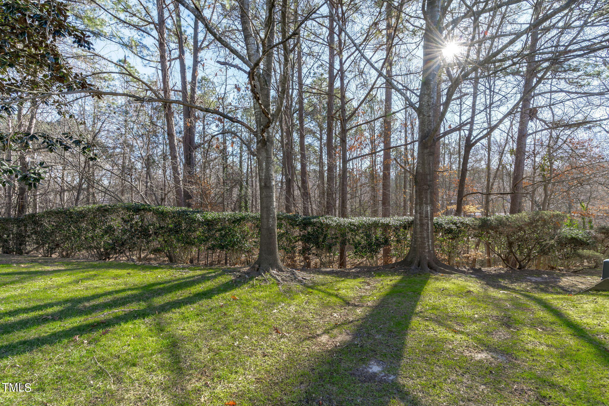 7320 Bonnie Ridge Court Raleigh, NC 27615 - Photo 28 of 29 Wooded View