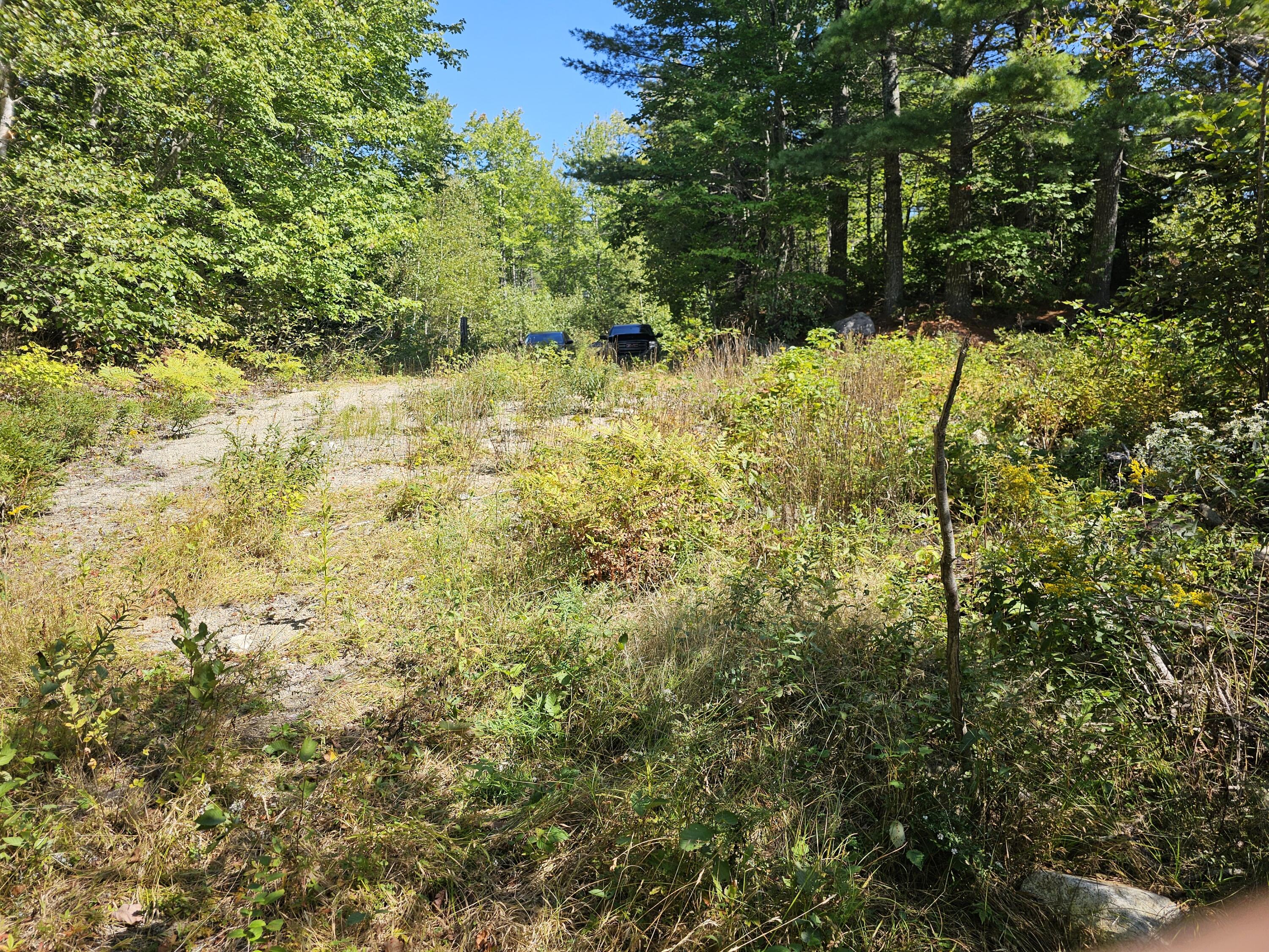 3-l 9 Off Eastern Ridge Road Northfield, ME 04654 - Photo 3 of 9