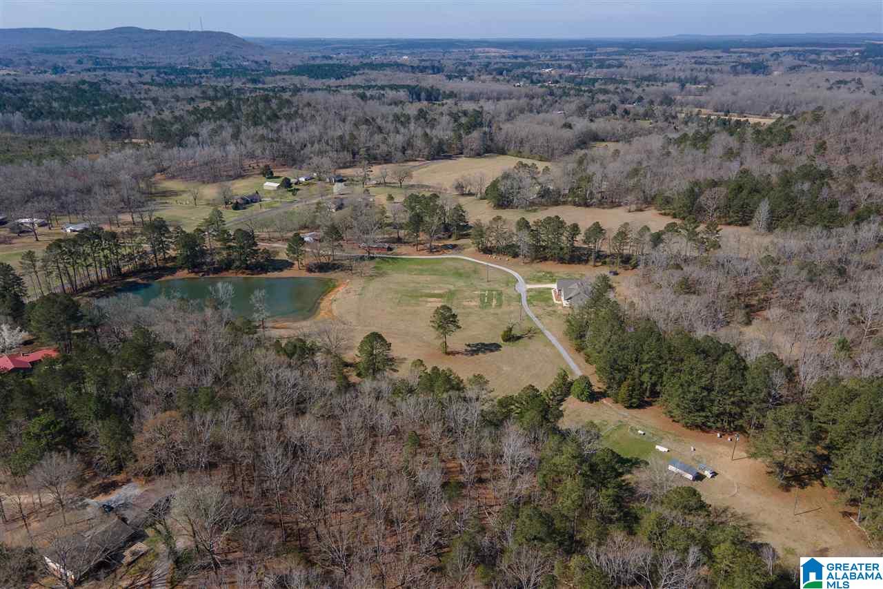 659 Blue Springs Road Wilsonville, AL 35186 - Photo 49 of 50