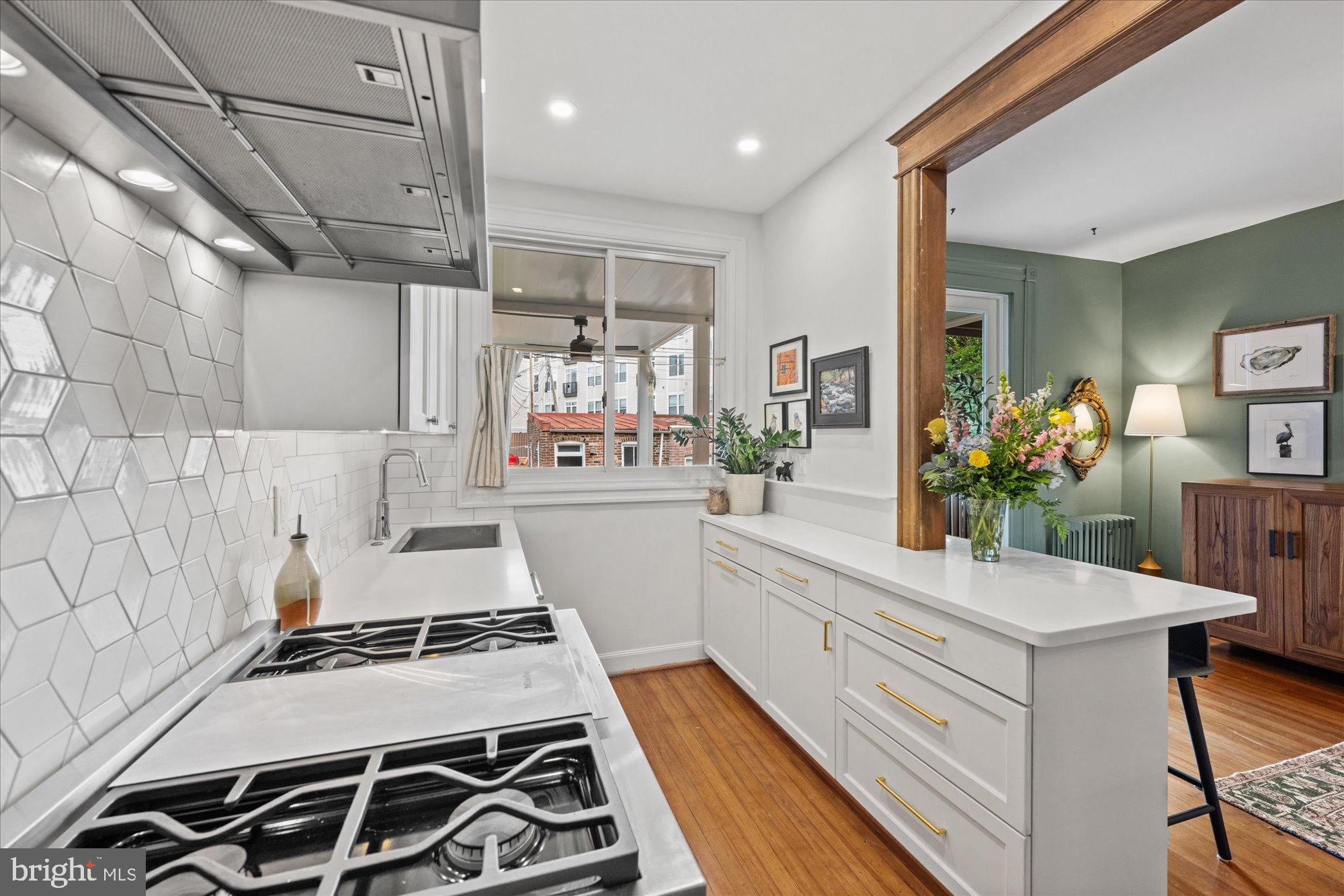 732 13th Street Southeast Washington, DC 20003 - Photo 6 of 21 Gourmet Kitchen