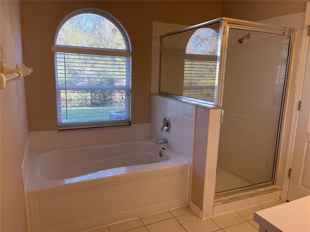 1930 Grenville Court Wesley Chapel, FL 33543 - Photo 12 of 18 a bathroom with a bathtub and a shower