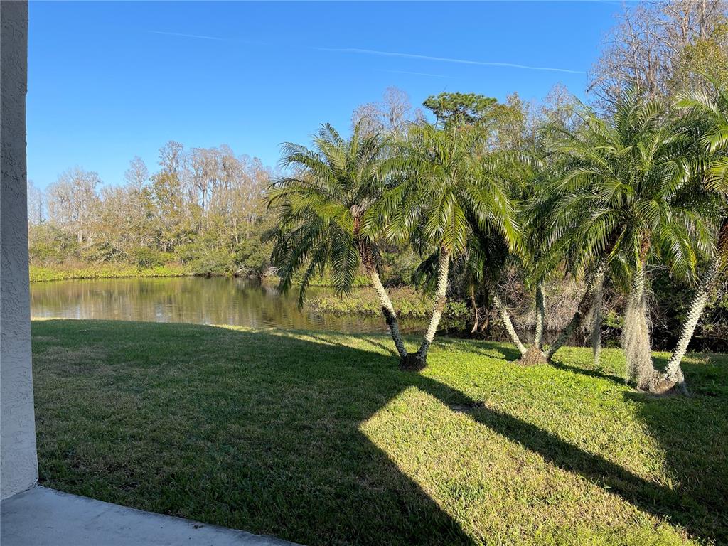 1930 Grenville Court Wesley Chapel, FL 33543 - Photo 18 of 18 a view of a garden with a house
