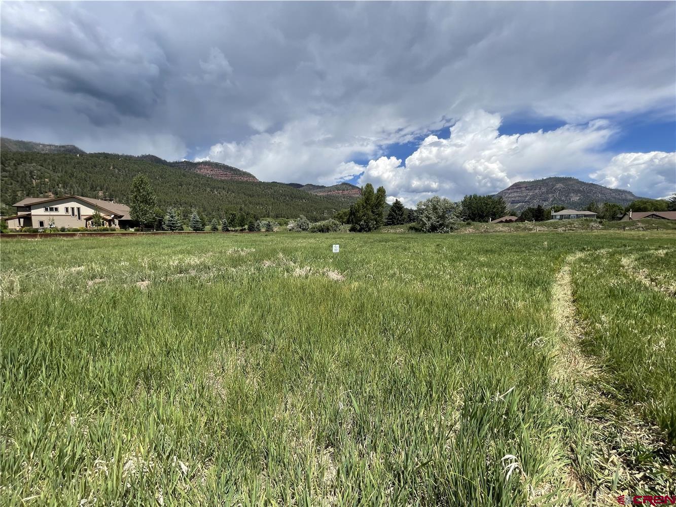 209 West Dalton Road Durango, CO 81301 - Photo 1 of 34 a city view with houses covered with trees
