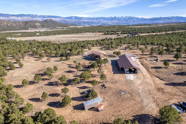 a view of a house with a wooden deck and a garden