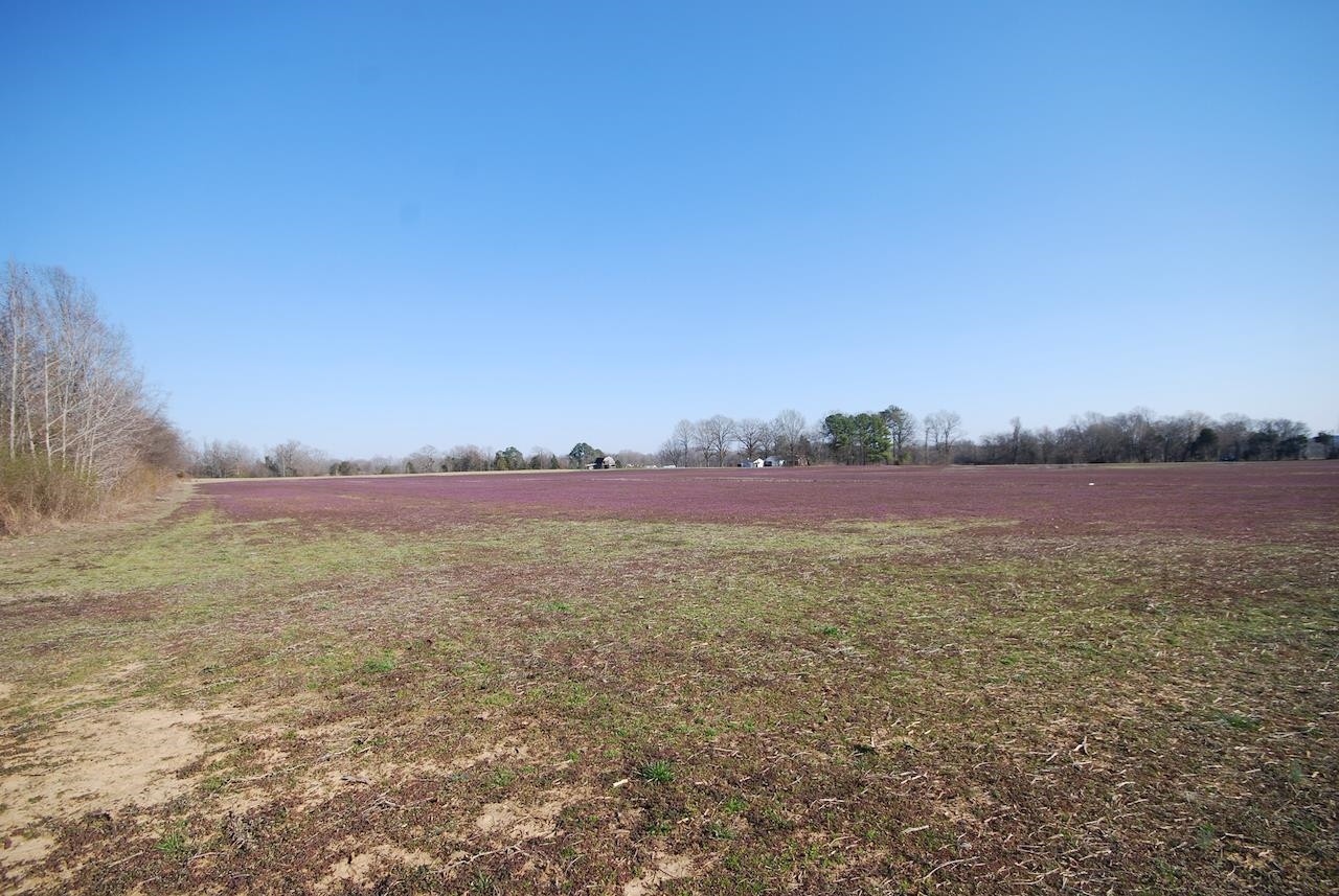0 Upper Browns Church Road Jackson, TN 38305 - Photo 7 of 11 Photo 7