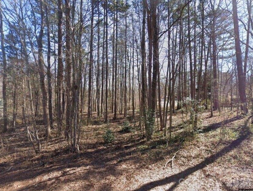 155 Pinecrest Street Salisbury, NC 28147 - Photo 1 of 2 a view of a backyard