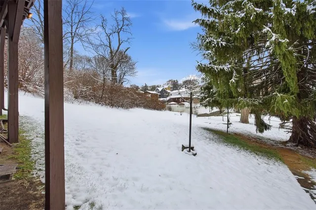 a view of road and trees